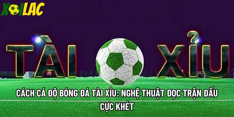 Cách Cá Độ Bóng Đá Tài Xỉu: Nghệ Thuật Đọc Trận Đấu Cực Khét