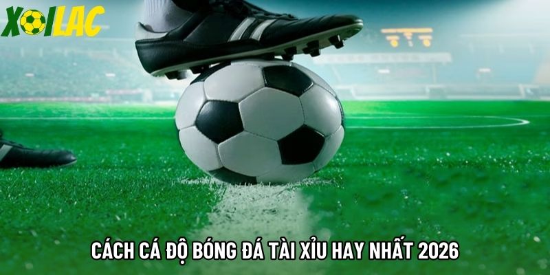 Cách cá độ bóng đá tài xỉu hay nhất 2026