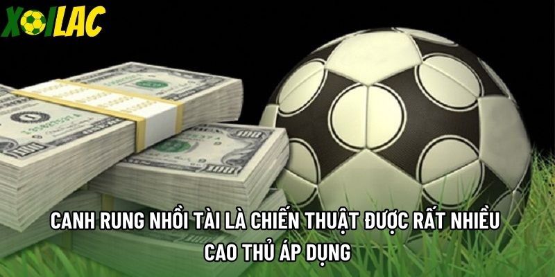 Canh rung nhồi tài là chiến thuật được rất nhiều cao thủ áp dụng Canh rung nhồi tài là chiến thuật được rất nhiều cao thủ áp dụng