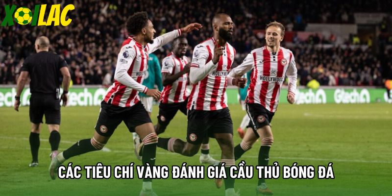 Các tiêu chí vàng đánh giá cầu thủ bóng đá