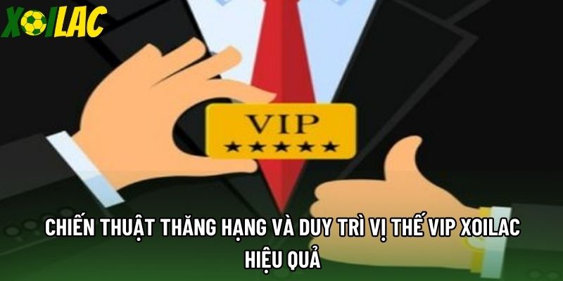 Chiến thuật thăng hạng và duy trì vị thế VIP xoilac hiệu quả Chiến thuật thăng hạng và duy trì vị thế VIP xoilac hiệu quả