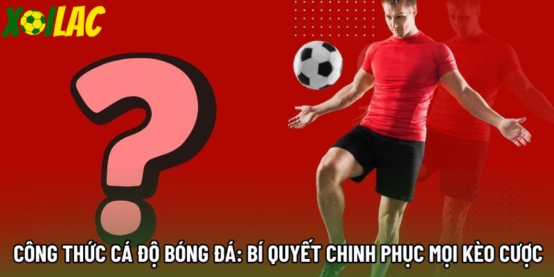 Công Thức Cá Độ Bóng Đá: Bí Quyết Chinh Phục Mọi Kèo Cược