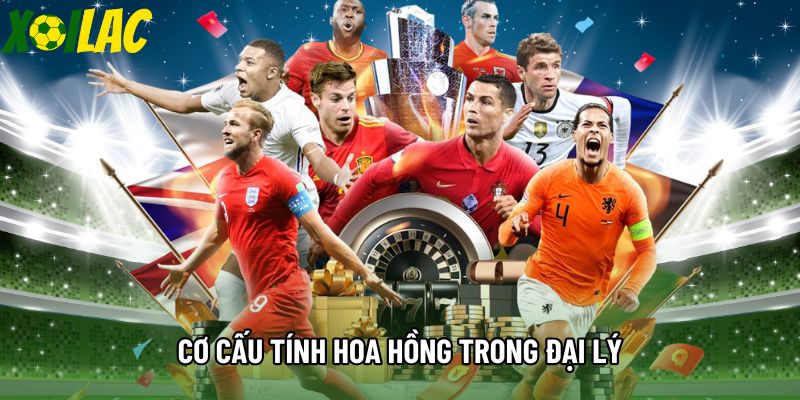 Cơ cấu tính hoa hồng trong Đại lý