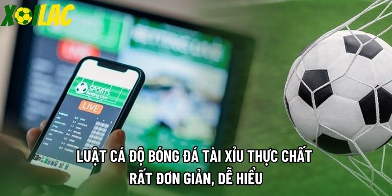 Luật cá độ bóng đá tài xỉu thực chất rất đơn giản, dễ hiểu Luật cá độ bóng đá tài xỉu thực chất rất đơn giản, dễ hiểu
