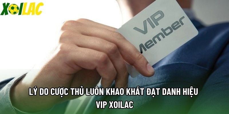 Lý do cược thủ luôn khao khát đạt danh hiệu VIP xoilac Lý do cược thủ luôn khao khát đạt danh hiệu VIP xoilac