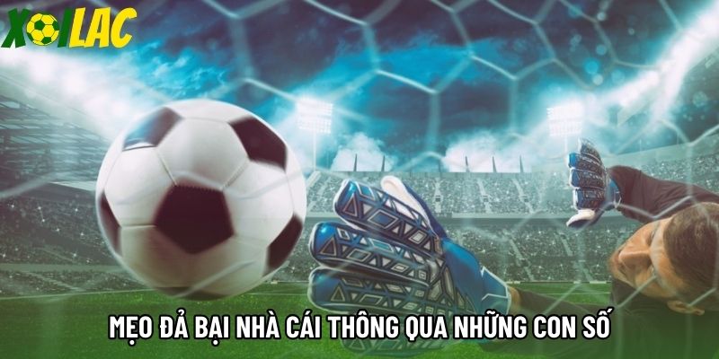 Mẹo đả bại nhà cái thông qua những con số
