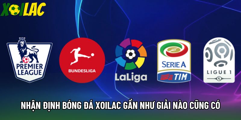 Nhận định bóng đá xoilac gần như giải nào cũng có
