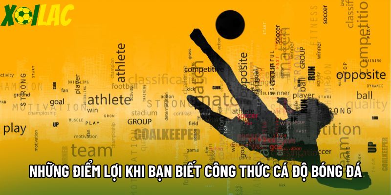 Những điểm lợi khi bạn biết công thức cá độ bóng đá Những điểm lợi khi bạn biết công thức cá độ bóng đá