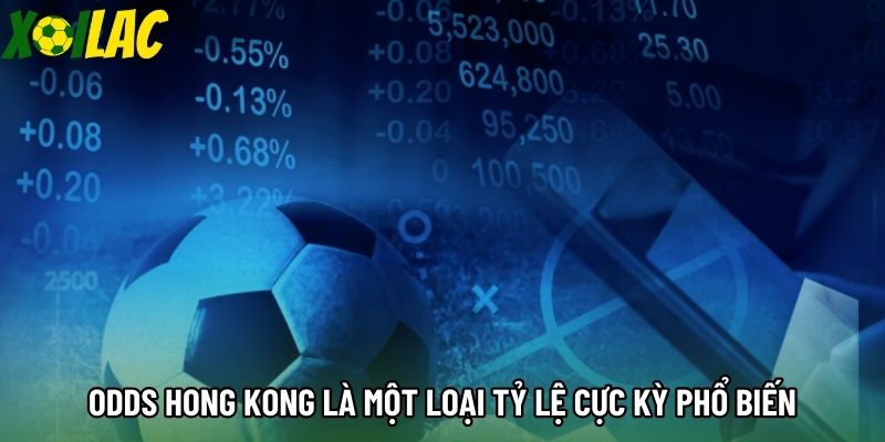 Odds Hong Kong là một loại tỷ lệ cực kỳ phổ biến