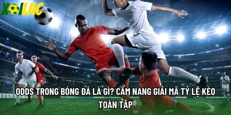 Odds Trong Bóng Đá Là Gì? Cẩm Nang Giải Mã Tỷ Lệ Kèo Toàn Tập