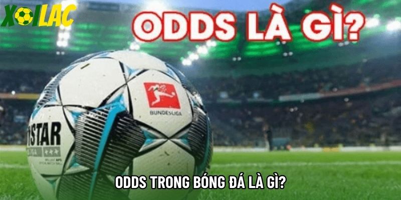Odds trong bóng đá là gì?