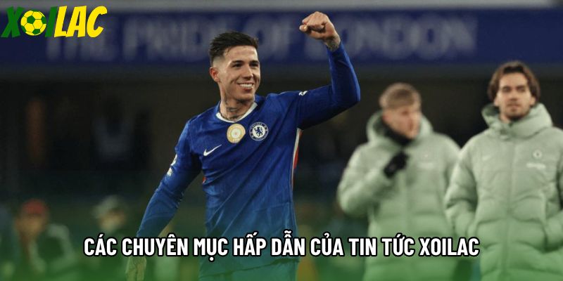 Các chuyên mục hấp dẫn của tin tức xoilac