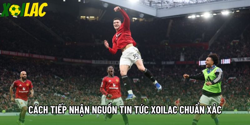 Cách tiếp nhận nguồn tin tức xoilac chuẩn xác