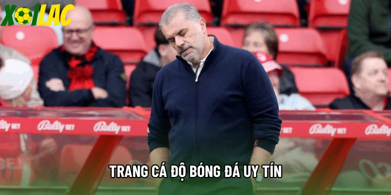 Trang Cá Độ Bóng Đá Uy Tín - Tiêu Chí Lựa Chọn Và Đánh Giá Hàng Đầu 