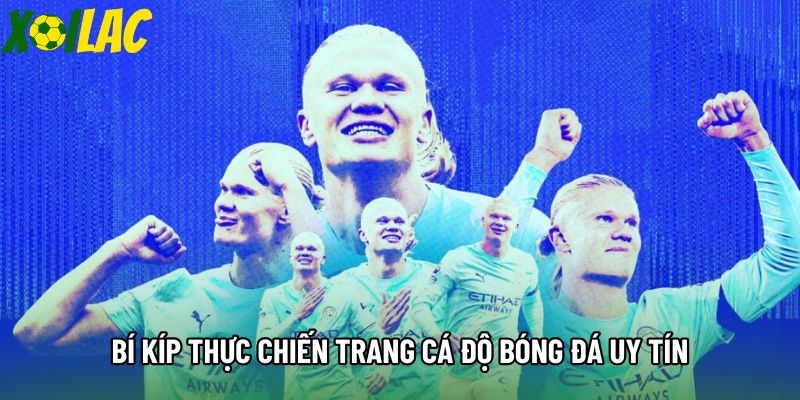 Bí kíp thực chiến trang cá độ bóng đá uy tín