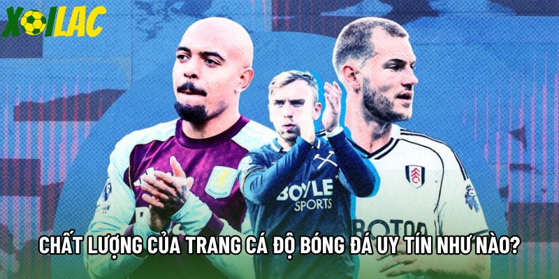 Chất lượng của trang cá độ bóng đá uy tín như nào