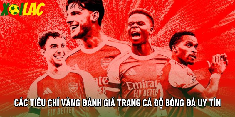 Các tiêu chí vàng đánh giá trang cá độ bóng đá uy tín