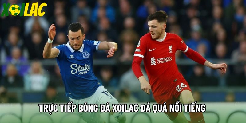 Trực tiếp bóng đá xoilac đá quá nổi tiếng trong cộng đồng