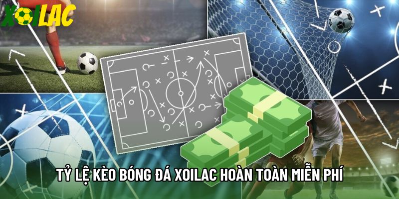 Tỷ lệ kèo bóng đá xoilac hoàn toàn miễn phí Tỷ lệ kèo bóng đá xoilac hoàn toàn miễn phí