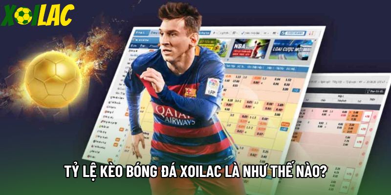 Tỷ lệ kèo bóng đá xoilac là như thế nào? Tỷ lệ kèo bóng đá xoilac là như thế nào?