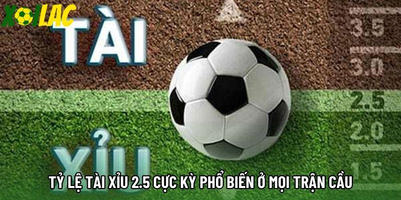 Tỷ lệ tài xỉu 2.5 cực kỳ phổ biến ở mọi trận cầu Tỷ lệ tài xỉu 2.5 cực kỳ phổ biến ở mọi trận cầu