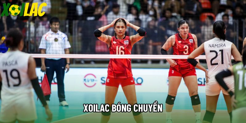 Xoilac Bóng Chuyền - Địa Chỉ Thưởng Thức Bóng Chuyền Hàng Đầu Tại Xoilac
