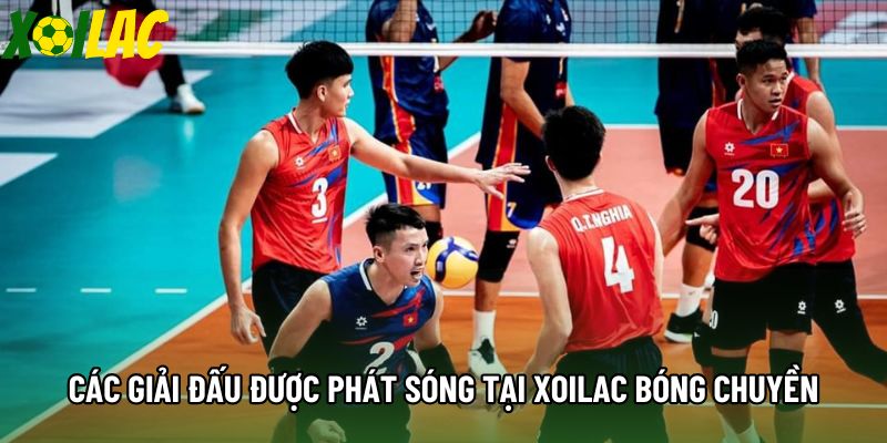 Các giải đấu được phát sóng tại Xoilac bóng chuyền