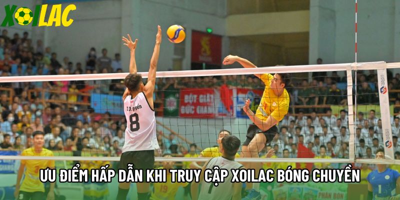 Ưu điểm hấp dẫn khi truy cập Xoilac bóng chuyền