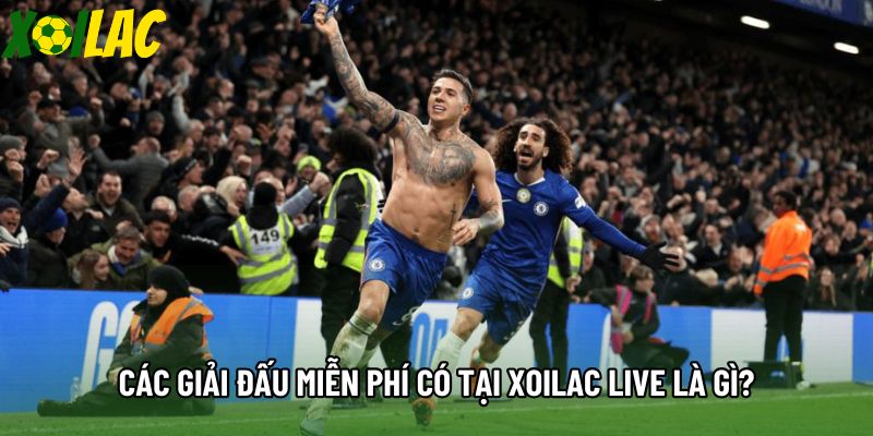 Các giải đấu miễn phí có tại Xoilac live là gì? Các giải đấu miễn phí có tại Xoilac live là gì?